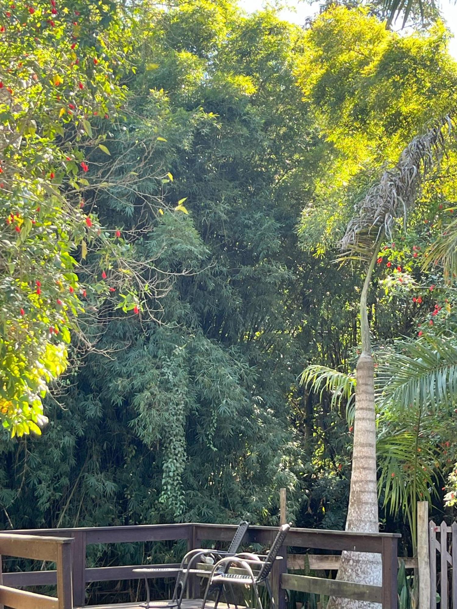 Casa Di Maria 4 Quartos A 500M Centro - Sauna, Piscina, Fogao A Lenha, Churrasqueira - Acesso Privativo Ao Ao Rio - Ideal Para Familias 新弗里堡 外观 照片